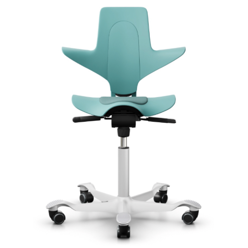 HAG Capisco Puls 8010 | Design Your Chair