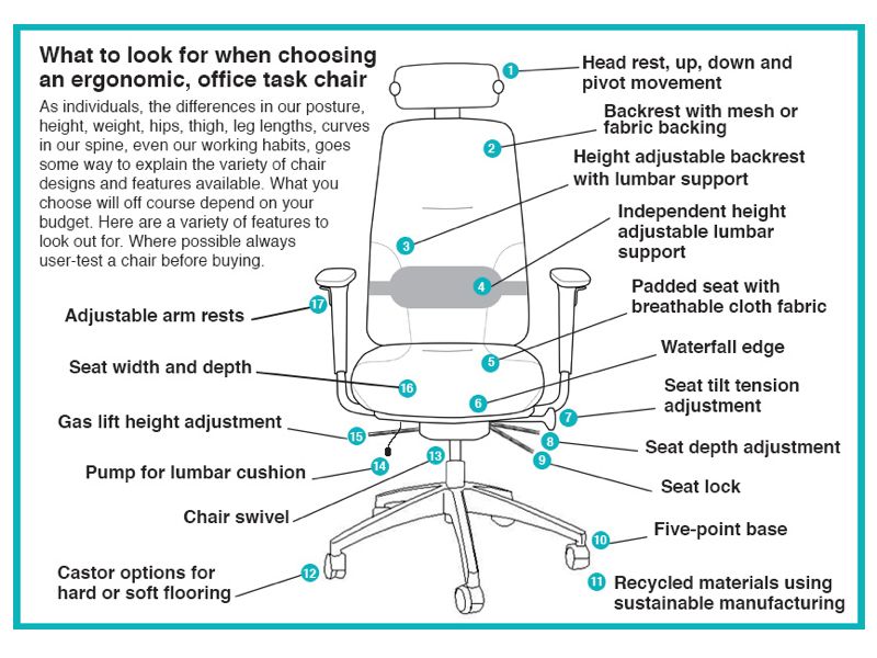 Ergonomic task chair features 1