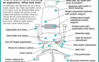 Ergonomic task chair features