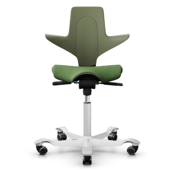 HAG Capisco Puls 8020 Moss Chair | Design Your Chair